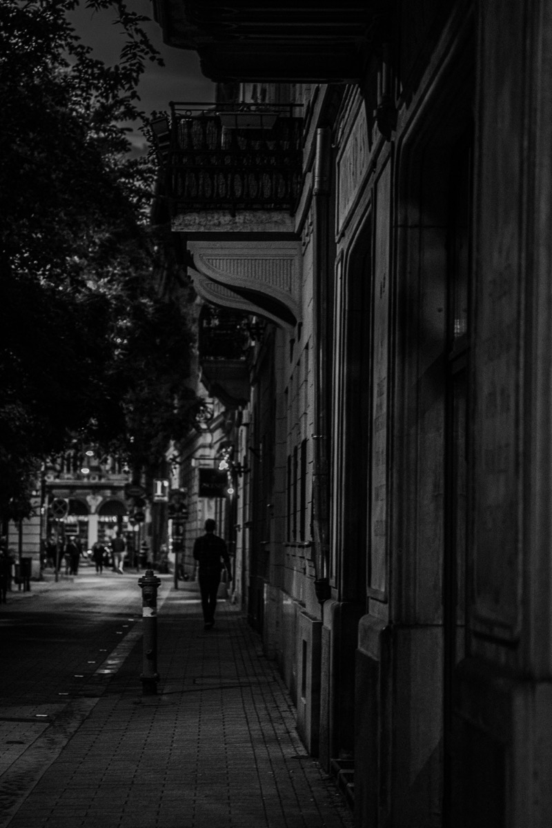 Photograph by Serhii Omelchenko