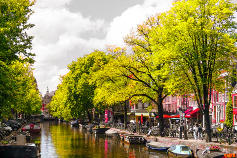 A tree-lined canal in Amsterdam with moored boats and bicycles