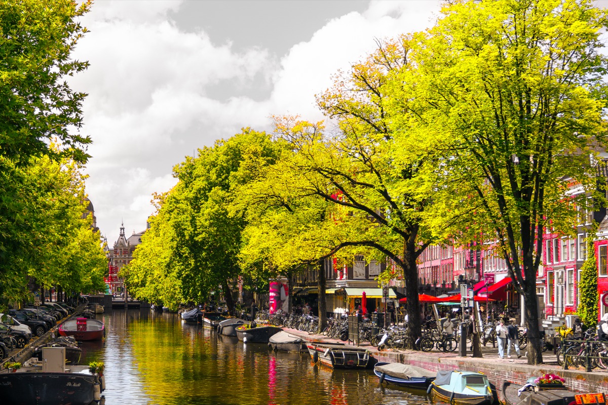 A tree-lined canal in Amsterdam with moored boats and bicycles